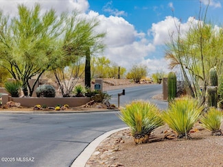 4250 S Saguaro Monument Place Unit 13, Tucson, AZ 85730