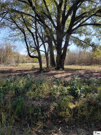 Lot 29 Carey Smith Rd, Mangham, LA 71259