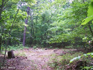 0 Quiet Hollow Way Unit 1000403647, Front Royal, VA 22630