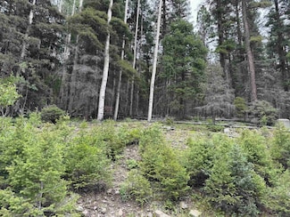 Lot 141 Back Basin Rd, Angel Fire, NM 87710