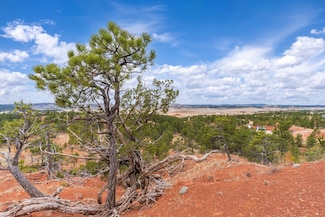 27215 Cody Rd, Southwest Fall River, SD 57735