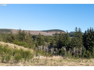 0 Roaring Tides-Lot 10 Loop Unit 323851491, Oceanside, OR 97134