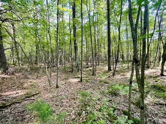 Cty Rd B, Humbird, WI 54746