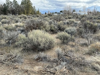 0 Elm Ln Unit TL-5400 220176627, Christmas Valley, OR 97641