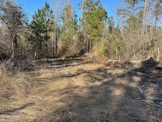 3241 Highway 90, Marianna, FL 32446