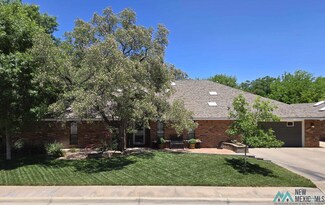 1205 San Juan Dr, Roswell, NM 88201