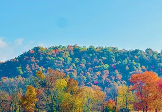 1350 Rube Brown Rd, Hustonville, KY 40437