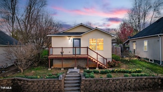 505 Wilson Ave, Johnson City, TN 37604