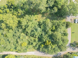 1524 Valley Dr, Bessemer, AL 35022