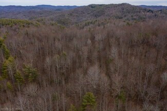 TBD Lick Ridge Rd, Check, VA 24072