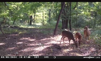 28639 Michigan 40, Paw Paw, MI 49079