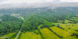 9529 Pedigo Rd, Powell, TN 37849