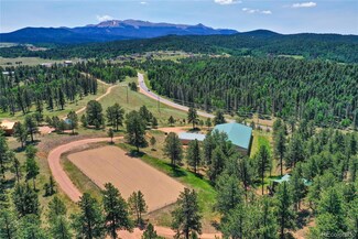 4763 County Road 42, Divide, CO 80814