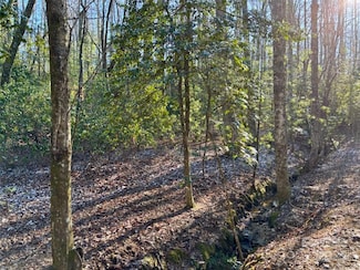 99999 Small Creek Rd Unit 4, Brevard, NC 28712