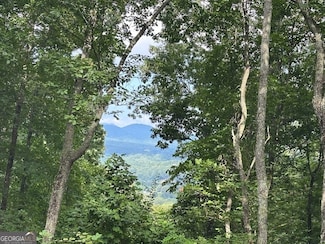 Lt 64/65 Rocky Knob Estates, Young Harris, GA 30582