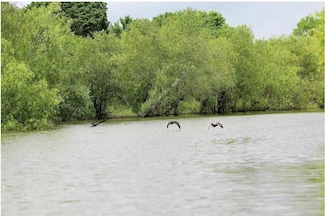 141 W Lakeside Dr, Huntsville, TX 77320