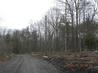 TBD Olde Farnham Rd, Alfred, ME 04002
