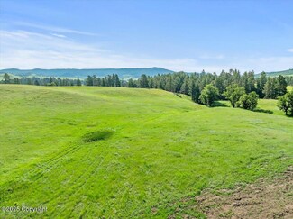 Tract 5 Lone Elk Ranch, Alva, WY 82711