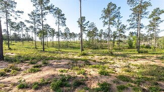 0 Tranquility Rd Unit 4807679, Livingston, TX 77351