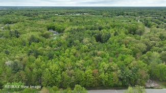12000 W Townline Rd, Saint Charles, MI 48655