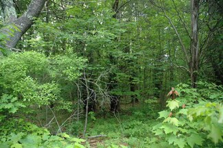 0 Agnes Dr Unit 201709988, Cairo, NY 12413