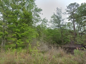 00 N Dr Lot 24, Splendora, TX 77372