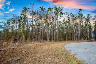 0 211th Dr, Live Oak, FL 32060