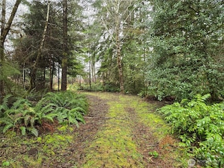 261 W Elk Hill Rd, Elma, WA 98541
