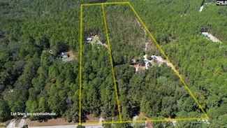 7044 and 7038 Platt Springs Rd, Lexington, SC 29073