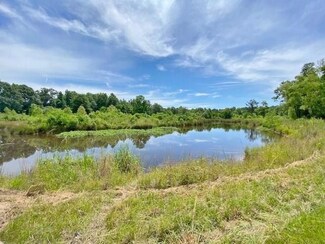 0 Lawrence Reid Rd, Tylertown, MS 39667