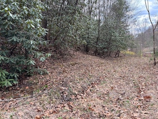 00 Robinson Hollow Ln, Mountain City, TN 37683