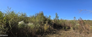 280 Pushapatapa Rd, Tylertown, MS 39667