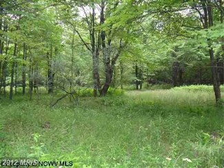 2674 Cuzzart Mountain Dale Rd, Bruceton Mills, WV 26525