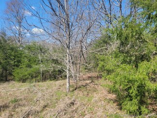 0 E County Road 1230 Unit 2415491, Keota, OK 74941