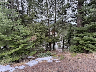 0 Forest Dell Rd Unit 648401436, Wallowa Lake, OR 97846
