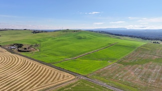 15125 S Andrus Rd Unit Lot 4, Cheney, WA 99004