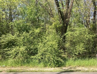 Lots 28 & 39 Pecan Grove Rd, Coosada, AL 36020