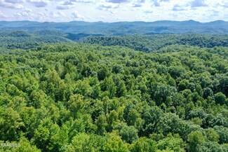 0 Primroy Rd Unit 1204578, Duff, TN 37729