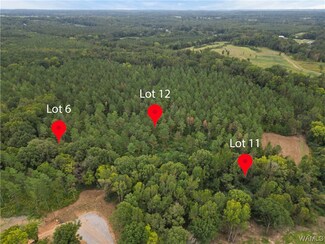 Lot 6 County Road 21, Moundville, AL 35474
