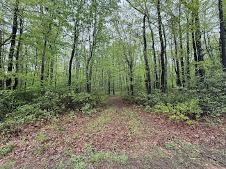 LOT 1 Sportsmans Trail, Jackson Township, PA 18360