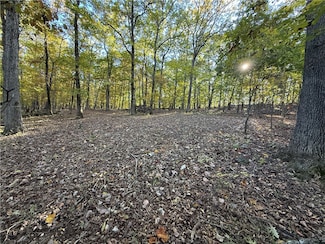 TBD Cr 114, Eureka Springs, AR 72632