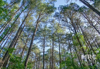 0 Texas 315, Mount Enterprise, TX 75681