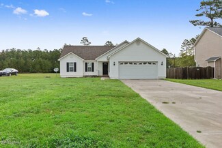 102 Michelle Ward Ln, Maple Hill, NC 28454