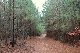 0 Myrtis Texas Line Rd, Vivian, LA 71082