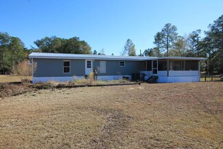 141 Johnson Lake Rd, Alma, GA 31510