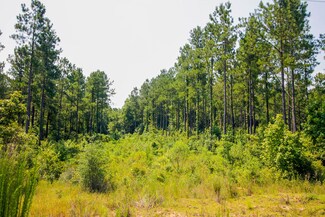 0D Epley Rd, Sumrall, MS 39482