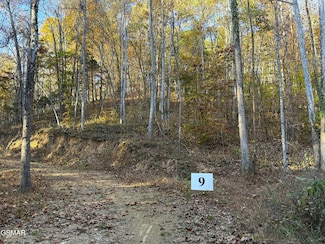 Tract 9 Topaz Way, Parrottsville, TN 37843