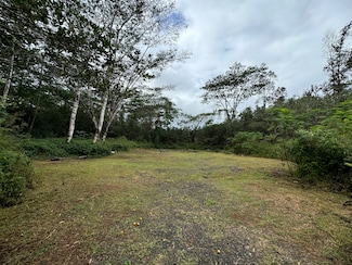 16-1122 Moho Rd, Kurtistown, HI 96760