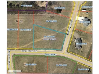 1017 Birch Ave NE, Montgomery, MN 56069