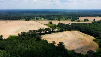 Enterprise Hwy, Geneva, AL 36340